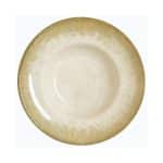 BYBONE VITRIFIED PORCELAIN TINTA ROME PLATE DEEP PASTA/SALAD 27X5.5CM