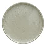 SHIRO GLAZE STEAM STRUCTURE PLATE FLAT COUPE 26CM SCHONWALD GERMANY