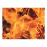 BY ORDER LES ESSENCES SHEET FOR TRAY FIRE 100 CHEF