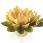MOLD CHOCO LOTUS FLOWER LIGHT MARTELLATO ITALY