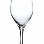 MONDIAL GOBLET 45CL H21CM SCHOTT ZWIESEL DISC