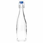 BORGONOVO INDRO BOTTLE W/H LID 1L