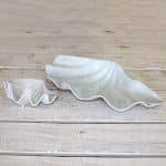 BUFFET PORCELAIN SEA SHELL CARIBE 53CM PORTUGAL