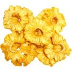 DRY PINEAPPLE SLICES 100GR
