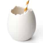 EGG OSTRICH 35CL 1PC 100CHEF