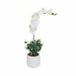ORXIDEA  WHITE PLASTIC WITH POT FRANCE - BY ORDER