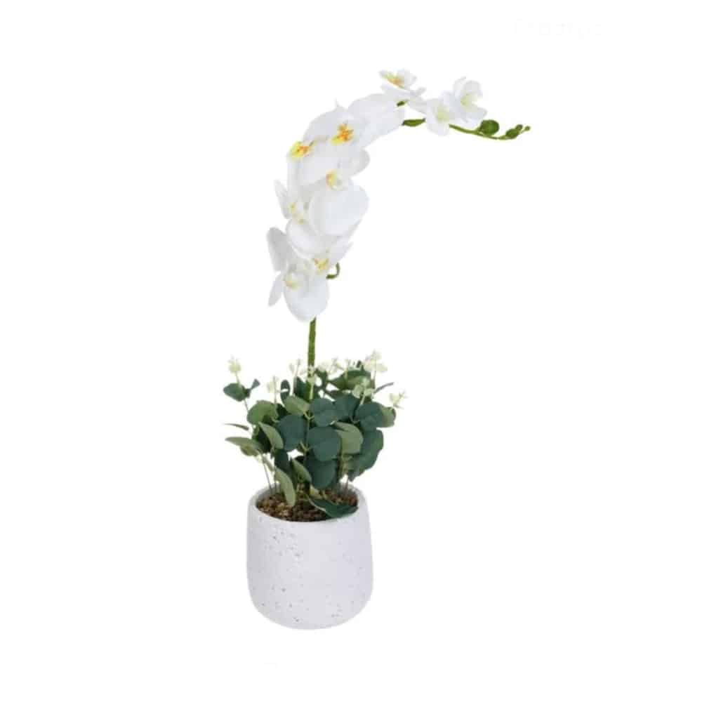 APA-UNI--8334.jpg ORXIDEA WHITE PLASTIC WITH POT FRANCE - BY ORDER - Image 1