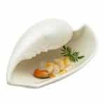 100 CHEF PORCELAIN SEASHELL PEARL COLOUR