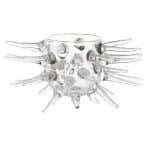 00 CHEF BOROSILICATE GLASS BOWL SEA URCHIN SPAIN - BY ORDER