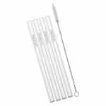 GLASS STRAWS SHORT 15CM SET 4PCS + CLEANING BRUSH ZWIESEL GERMANY